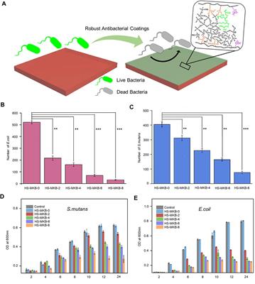 Implantable biomedical materials for treatment of bone infection